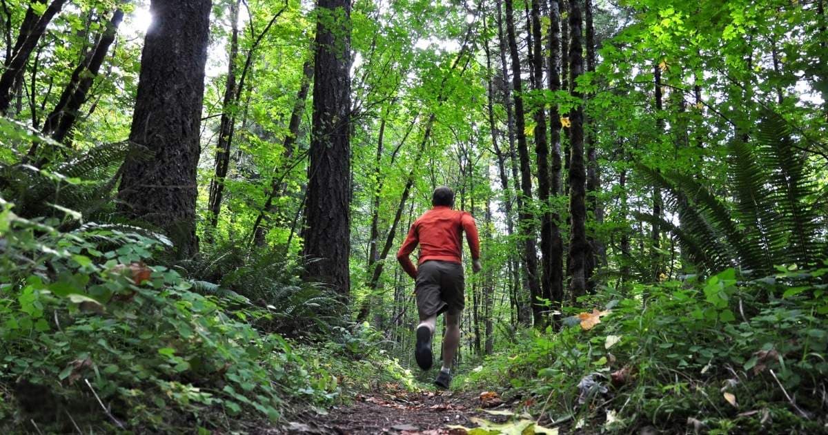 Comment s'inscrire à son premier trail : guide complet pour débutants